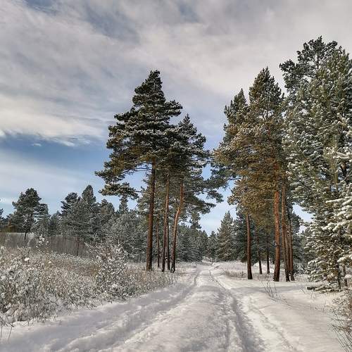 Photo #10112947
