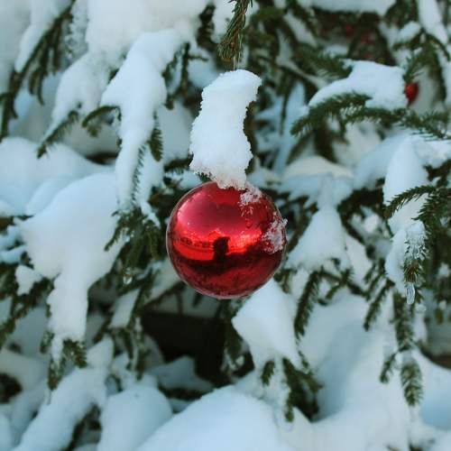Photo #10113285
