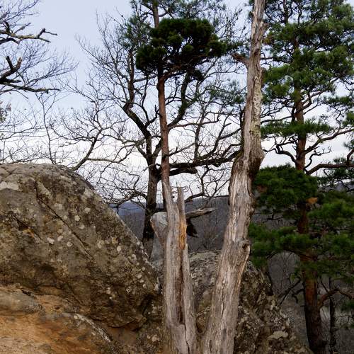 Photo #10113296