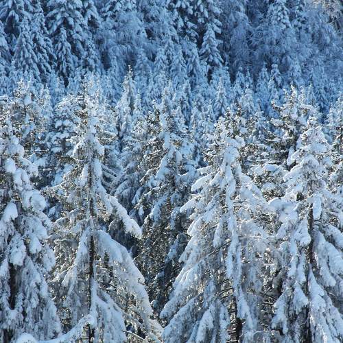 Photo #10113417