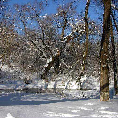 Photo #10113647