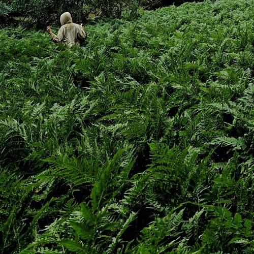 Photo #10113716