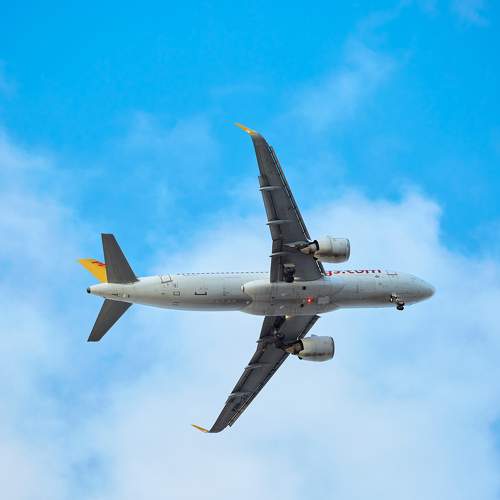 Photo #10114023