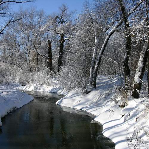 Photo #10114186