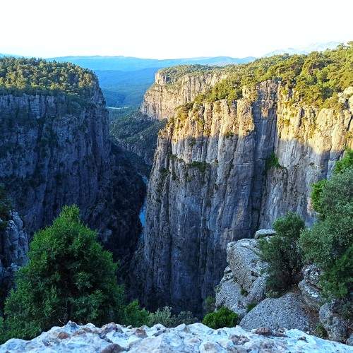 Photo #10114346