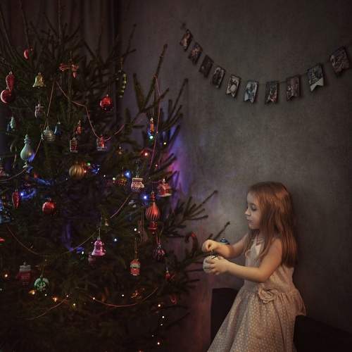 Photo #10114988