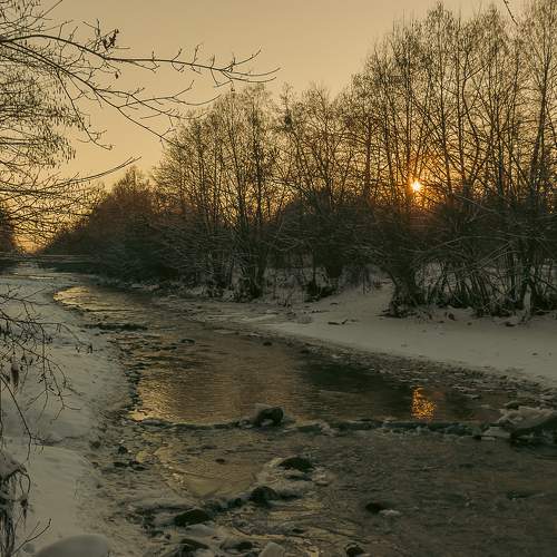 Photo #10115355