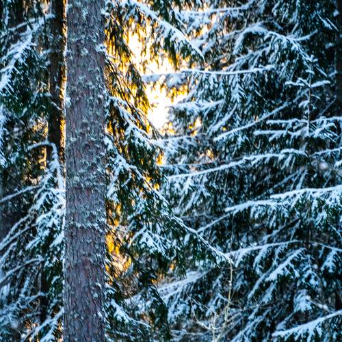 Photo #10115419