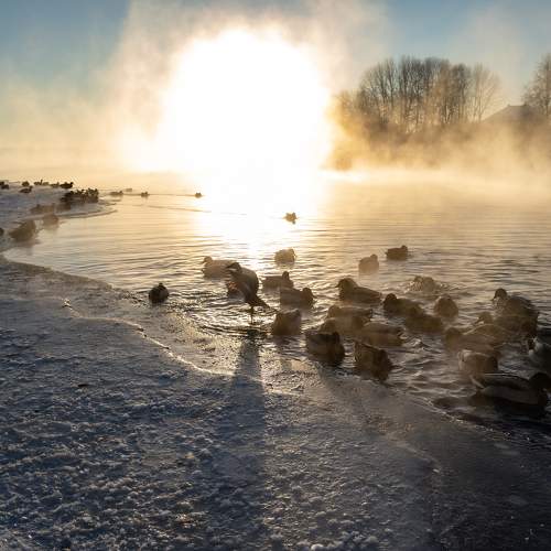 Photo #10115421