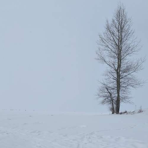 Photo #10115423