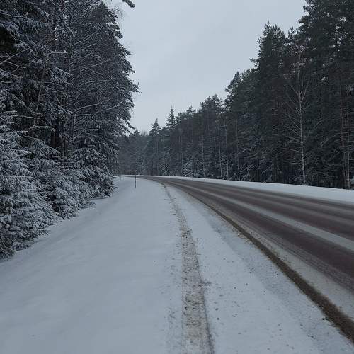 Photo #10115486