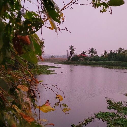 Beauty of Nature