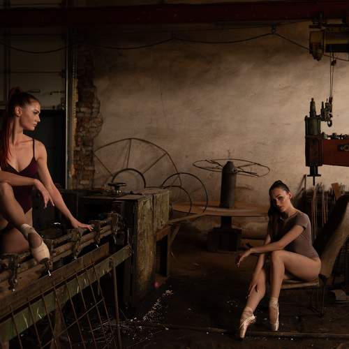 Photo #10115895