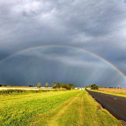 Photo #10116412