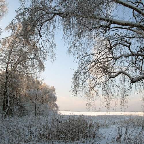 Photo #10116673
