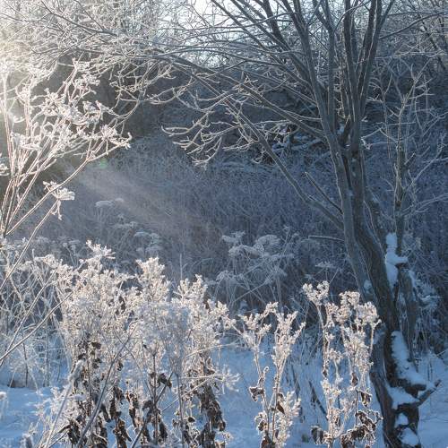 Photo #10116675