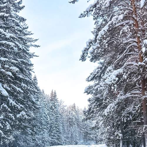 Photo #10116710