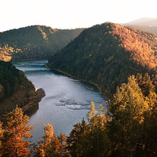 Photo #10116748