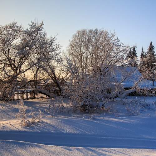Photo #10116751