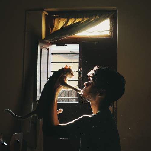 Photo #10117331