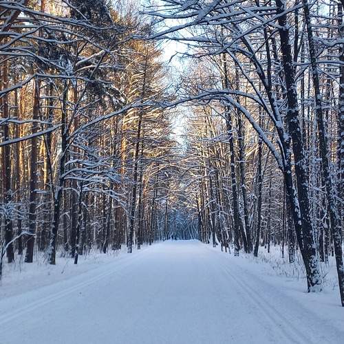 Photo #10117336