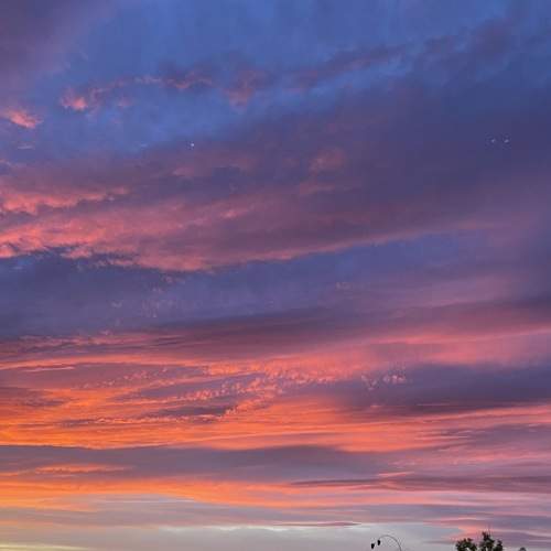 Photo #10117458