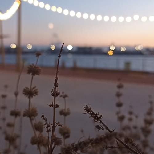 Photo #10118150