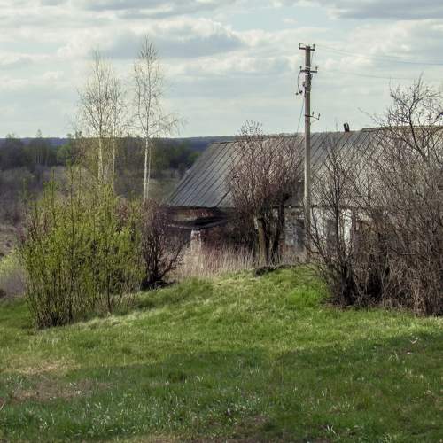Photo #10118422