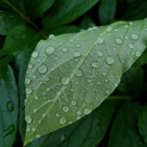 Photo #10118498