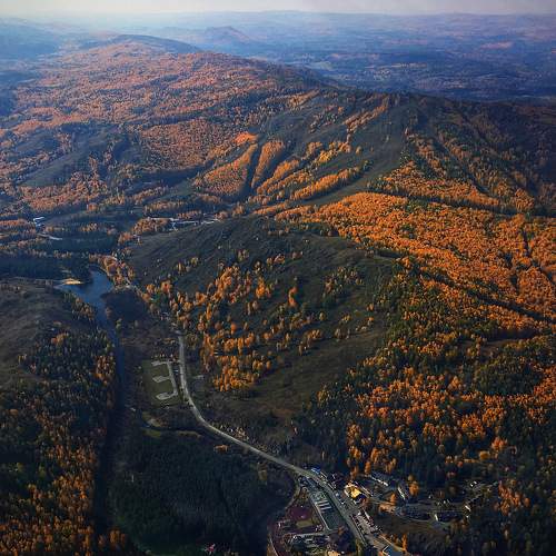 Photo #10118828