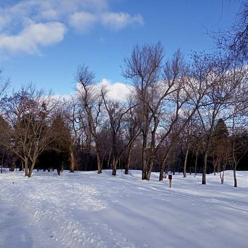 Photo #10118894