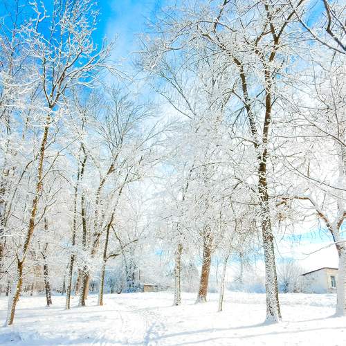 Photo #10119487
