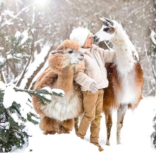 Photo #10119553