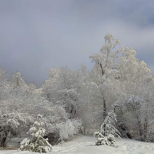Photo #10119764