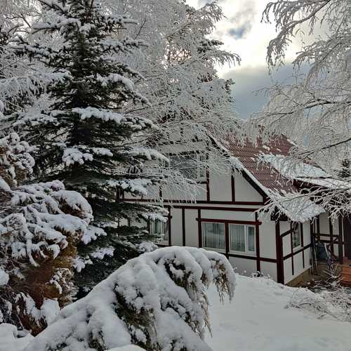 Photo #10119783