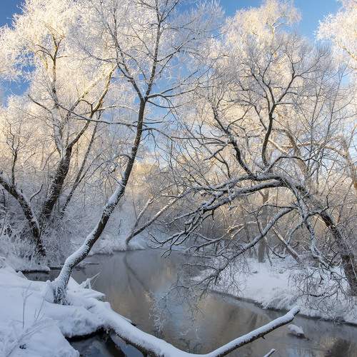 Зимняя Сходня