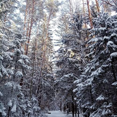 Photo #10120194