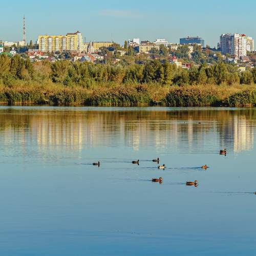 Утром с берега на другой..