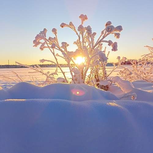 Photo #10120586