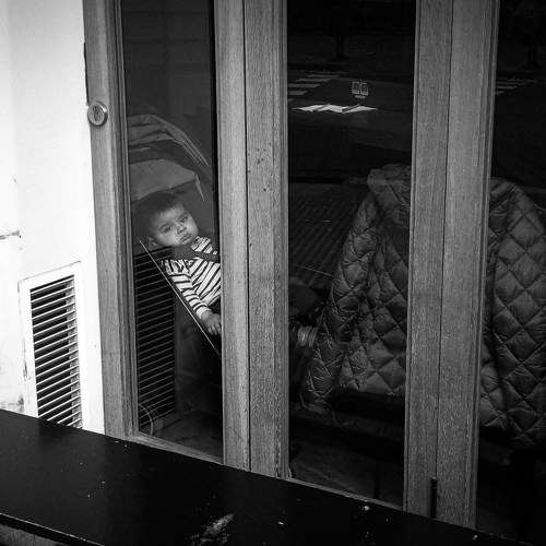 Photo #10120718