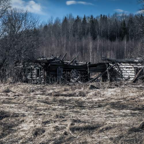 Фотография #10120969