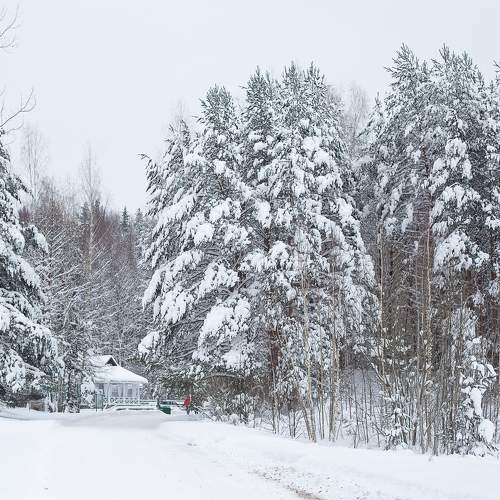 Photo #10121013