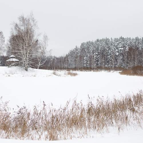 Photo #10121023