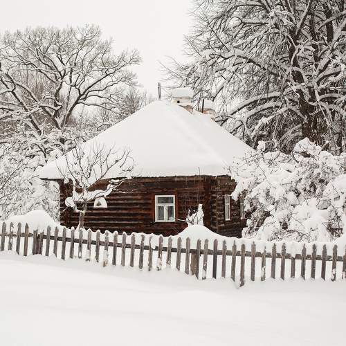 Photo #10121036