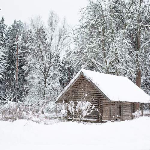 Photo #10121048