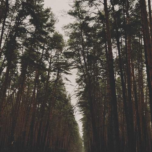 Photo #10121091