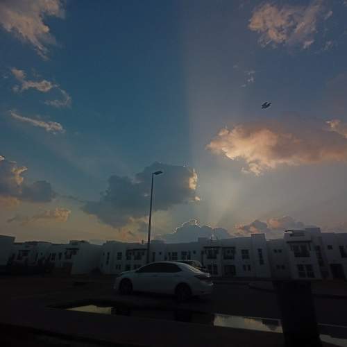 An untitled morning