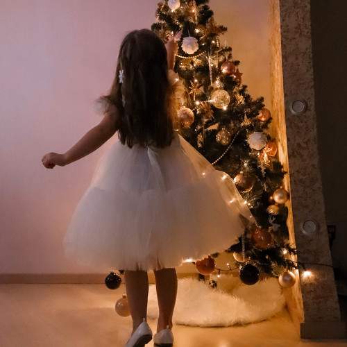 Photo #10121524