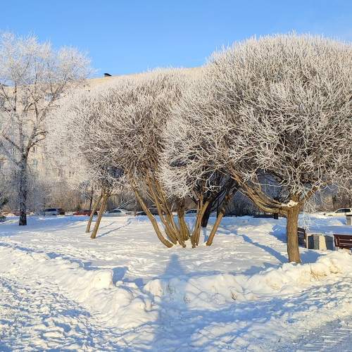 Photo #10121822