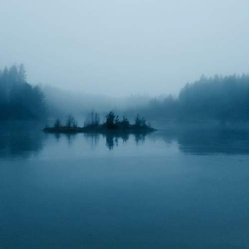 Photo #10121884